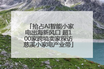 抢占AI智能小家电出海新风口 超100家跨境卖家探访慈溪小家电产业带